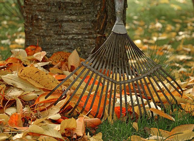 Jesenné práce v záhrade – 5 vecí, na ktoré nezabudnúť