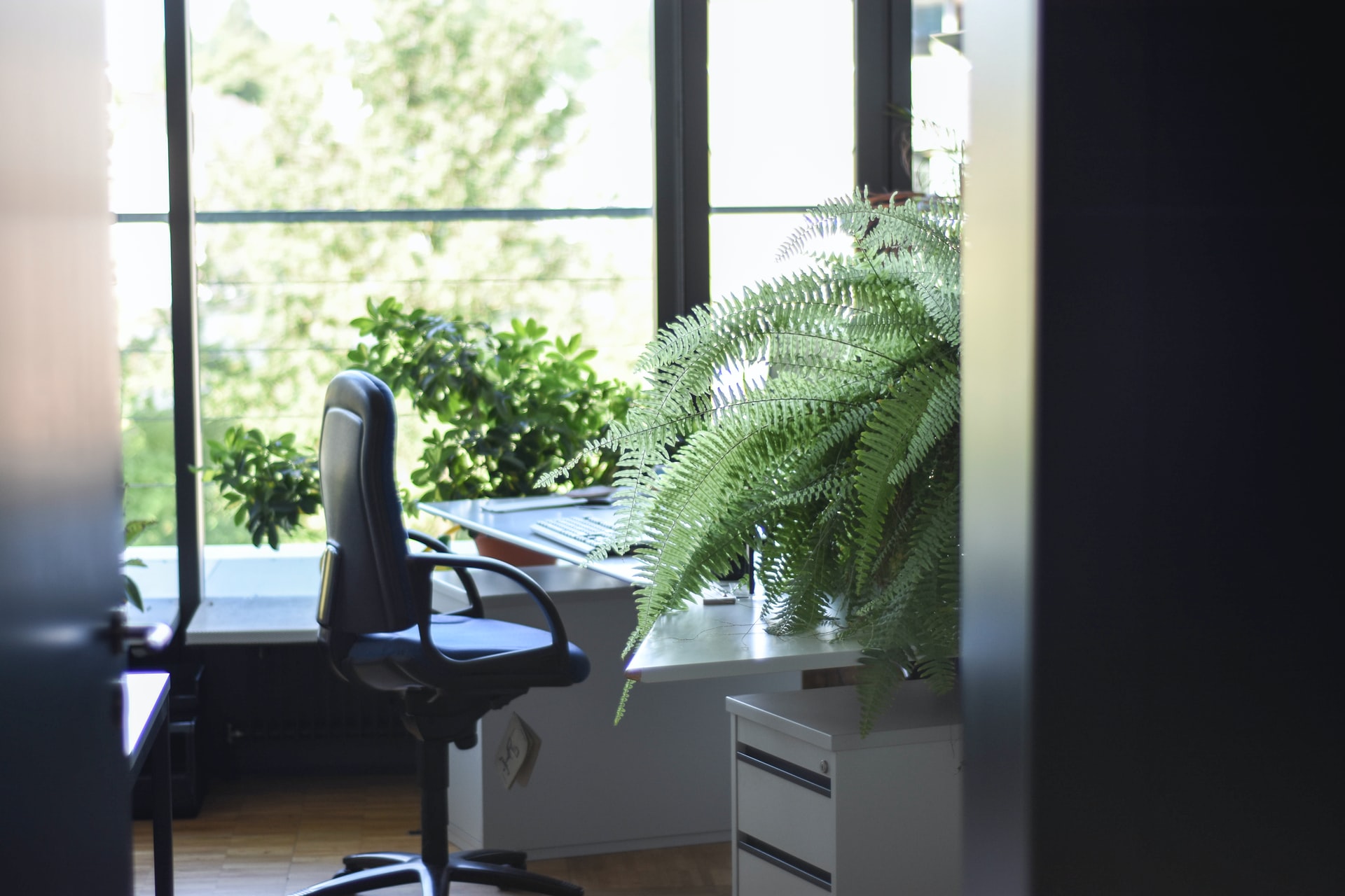 5 tipov, ako si vytvoriť príjemnú kanceláriu