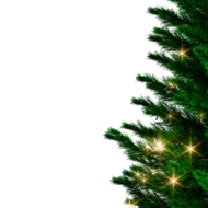 Umelý vianočný stromček RUDOLPH so svetielkami, 150cm, zelená
