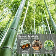 Bambus ekologický