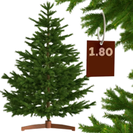 Umelý vianočný stromček FROST, 180cm, zelená