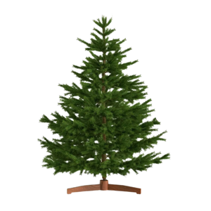 Umelý vianočný stromček FROST, 180cm, zelená